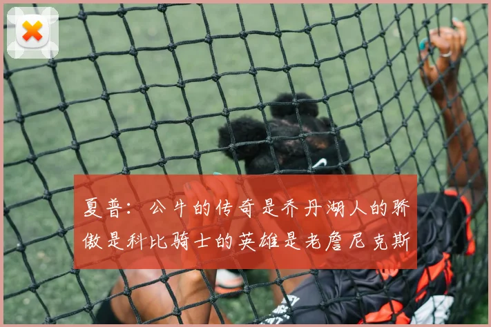 夏普：公牛的传奇是乔丹湖人的骄傲是科比骑士的英雄是老詹尼克斯的希望是布伦森